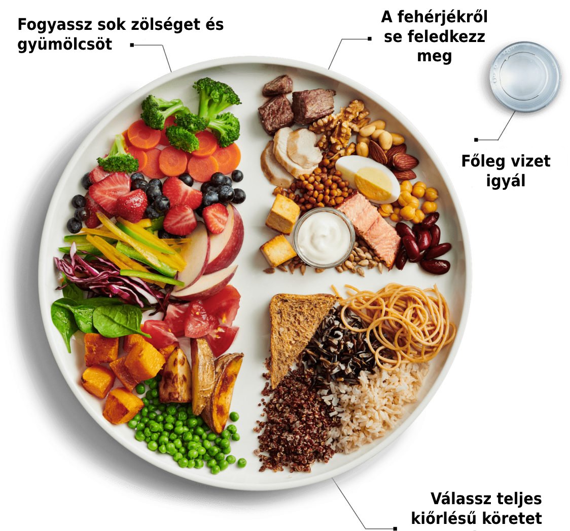 milyen étrendet válasszunk a fogyáshoz)
