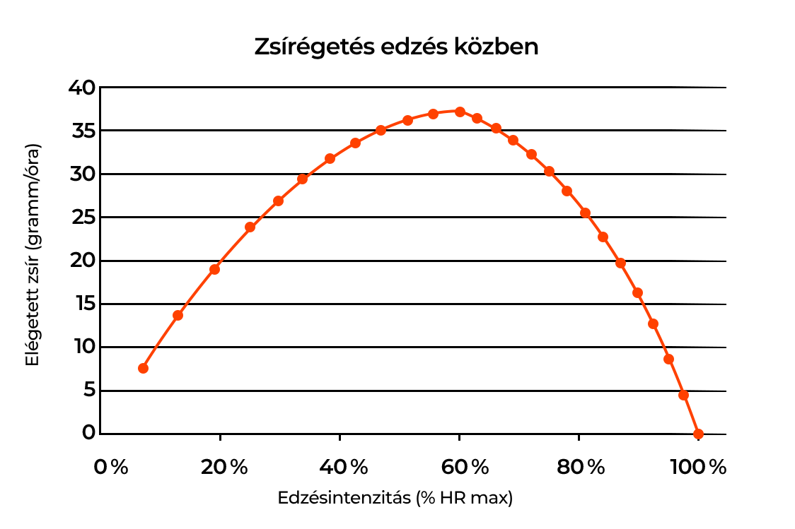 Zsírégetés edzés közben