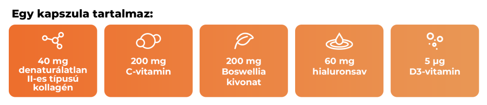 Type II kollagén ízületi komplex – GymBeam