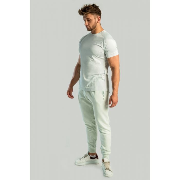 Ultimate Moon Grey póló - STRIX L