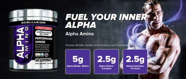 Alpha Amino aminosav