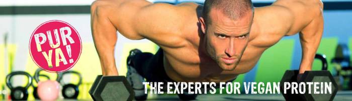 Bio napraforgó fehérje